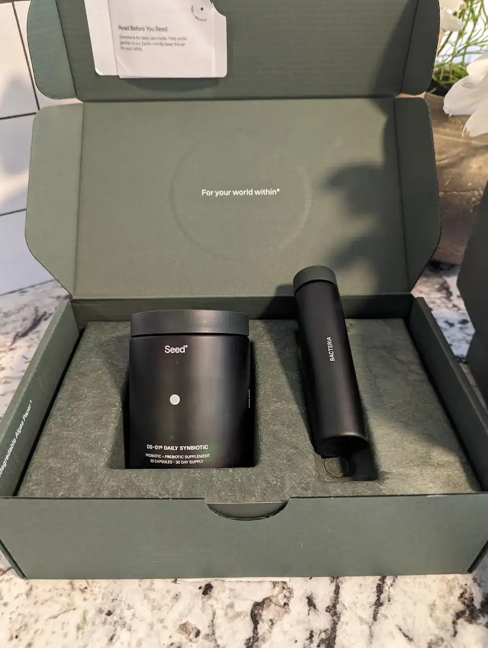 Author holding the Seed DS-01 Daily Synbiotic for a review in Canada