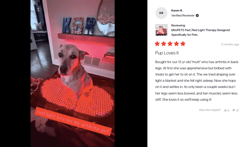 Close-up of the MitoPRO review panel showing the LED lens and build quality.