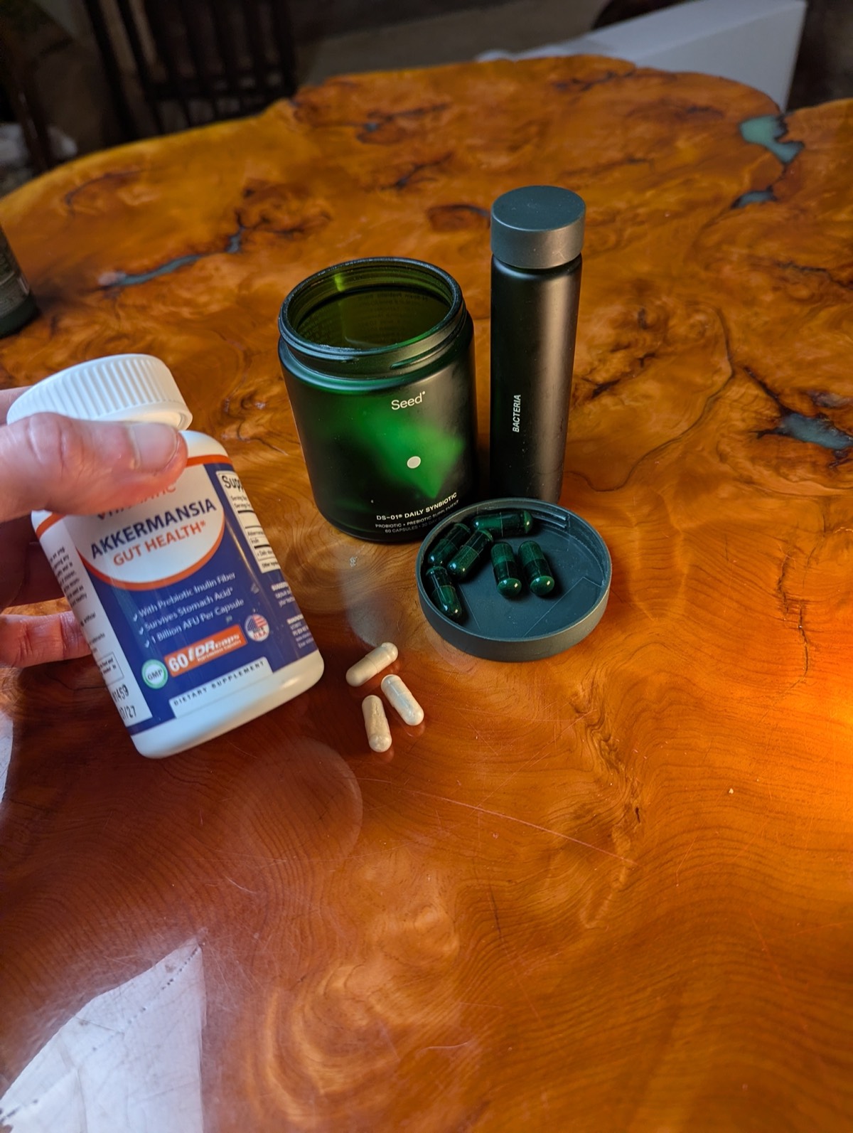 akkermansia pendulum vs seed probiotic