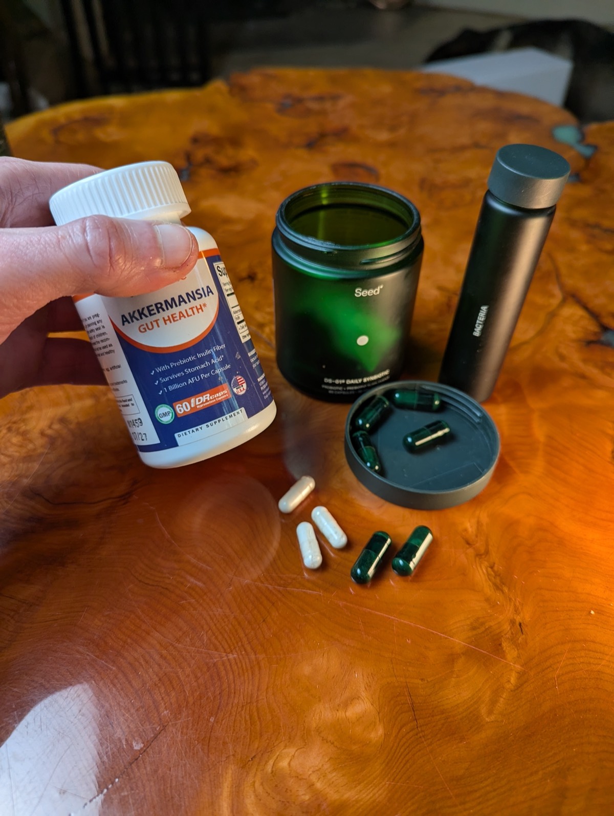 akkermansia probiotic vs seed probiotics