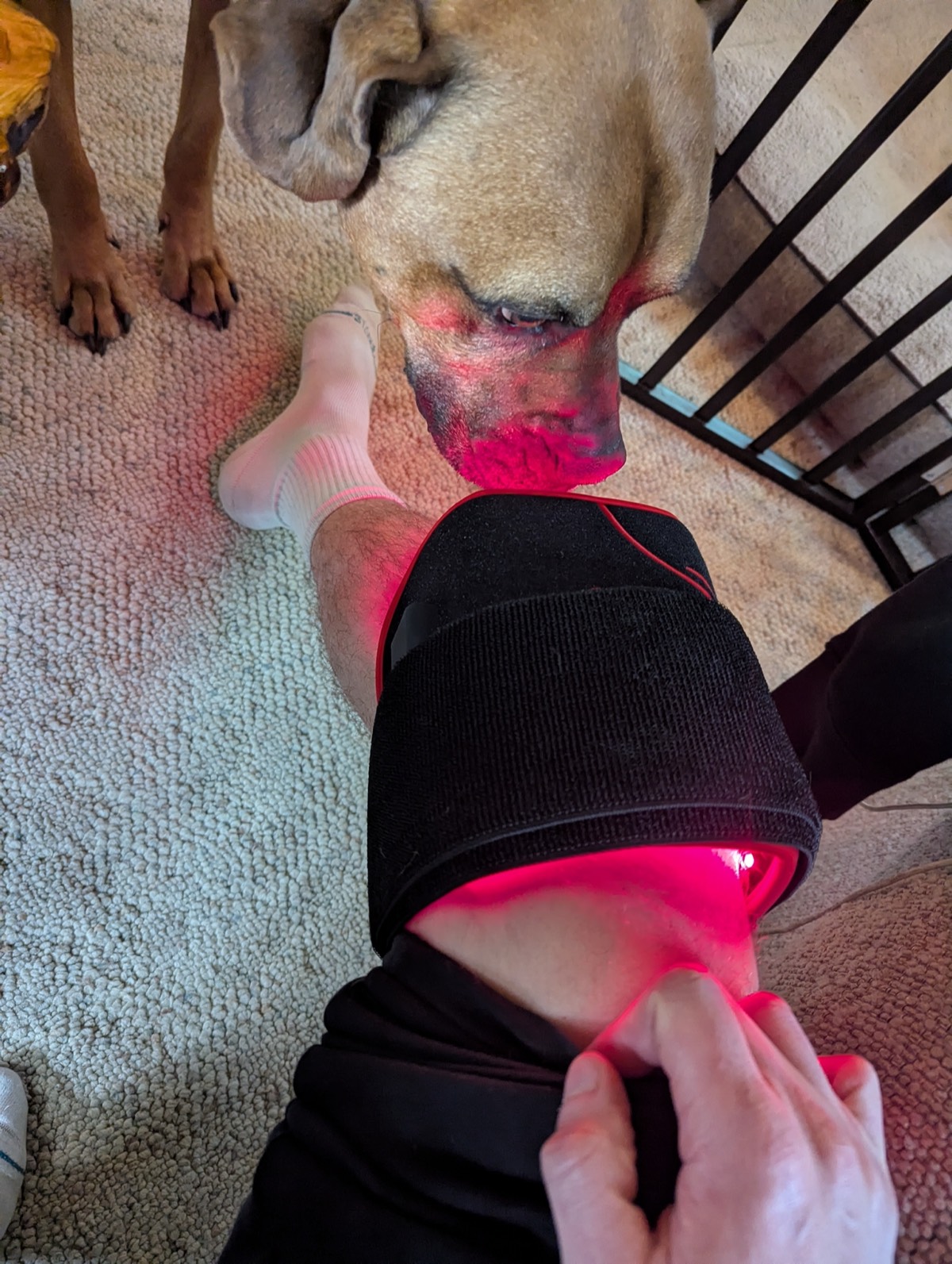 closer look at the infraredi knee device for inflammation 