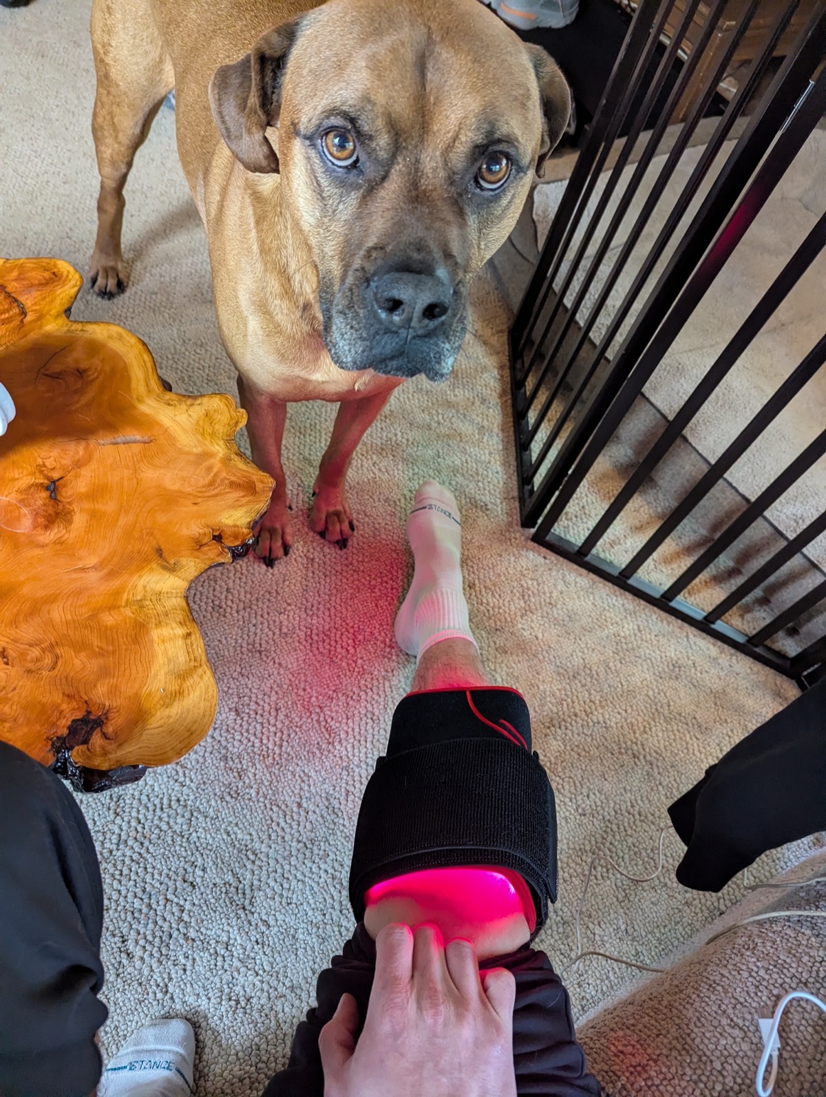 daryl enjoying the infraredi knee red light therapy inflammation brace