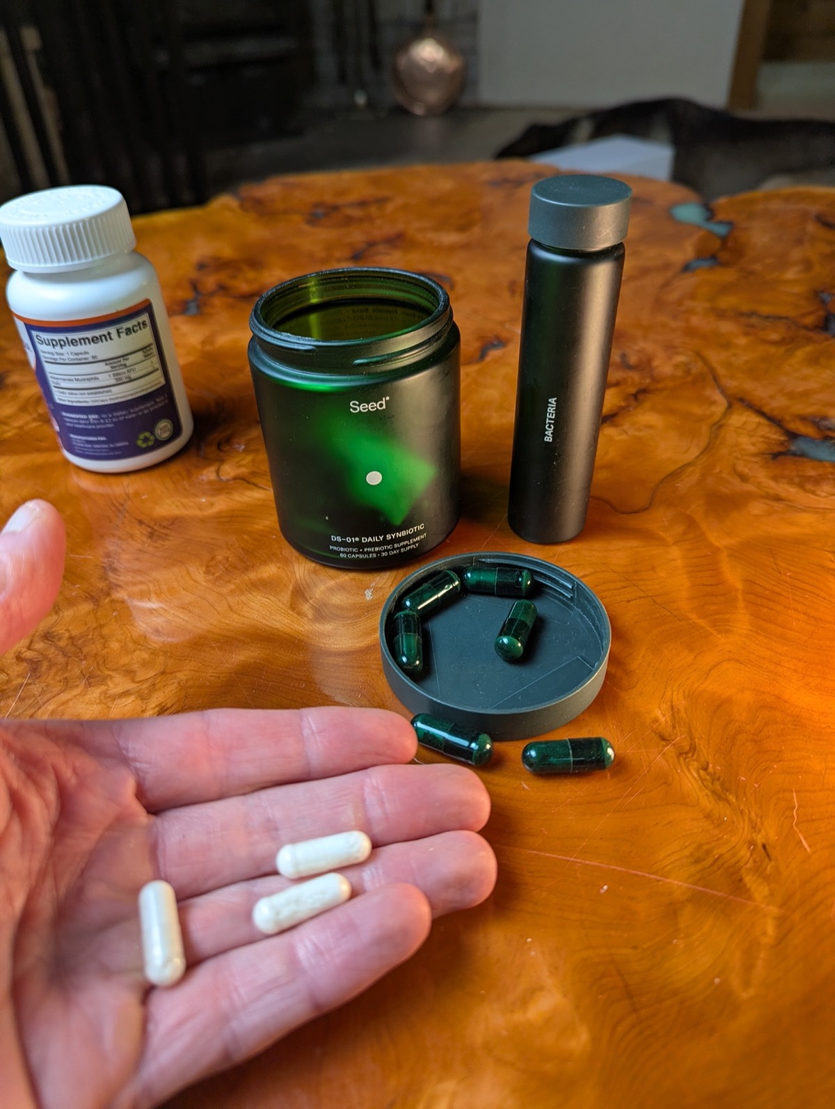 daryl holding probiotic capsules with seed probiotic in the background