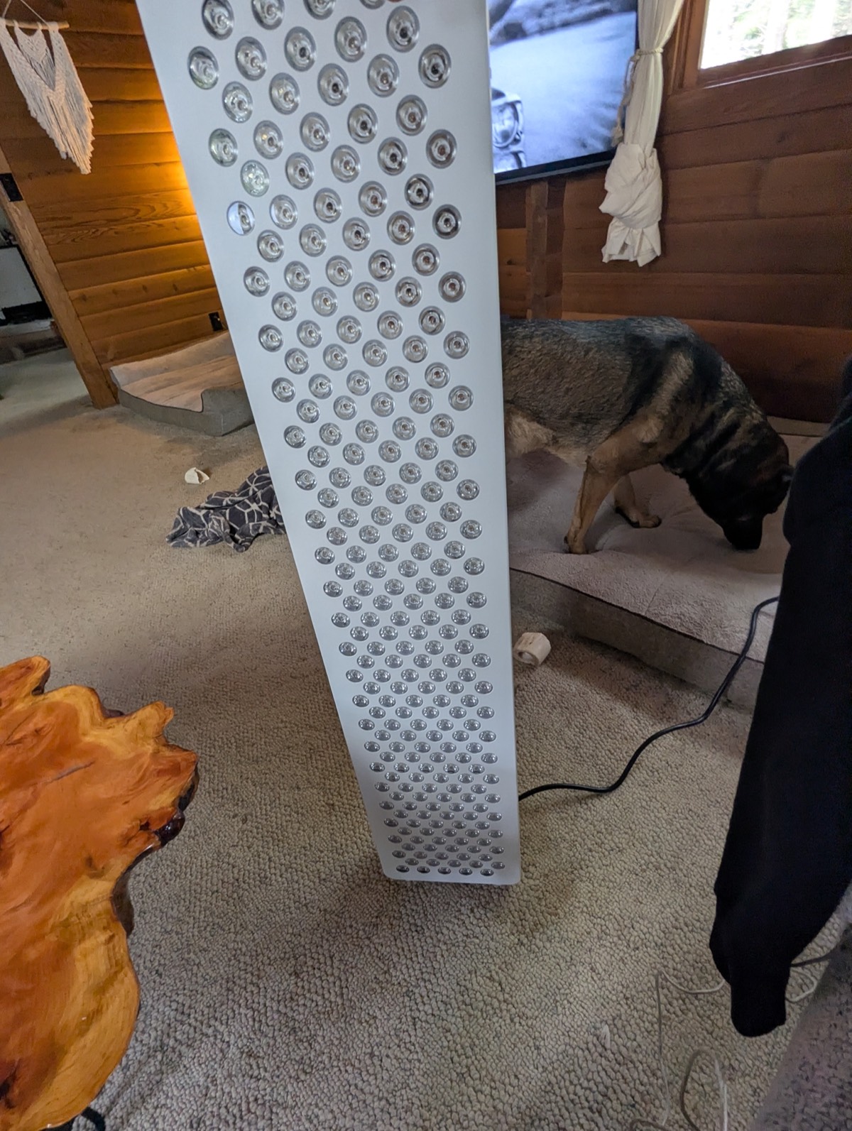 full body red light therapy panel (infraredi)