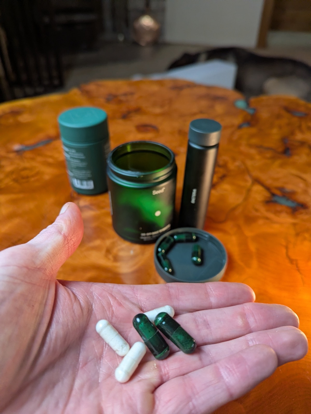 holding a probiotic vs seed ds 01