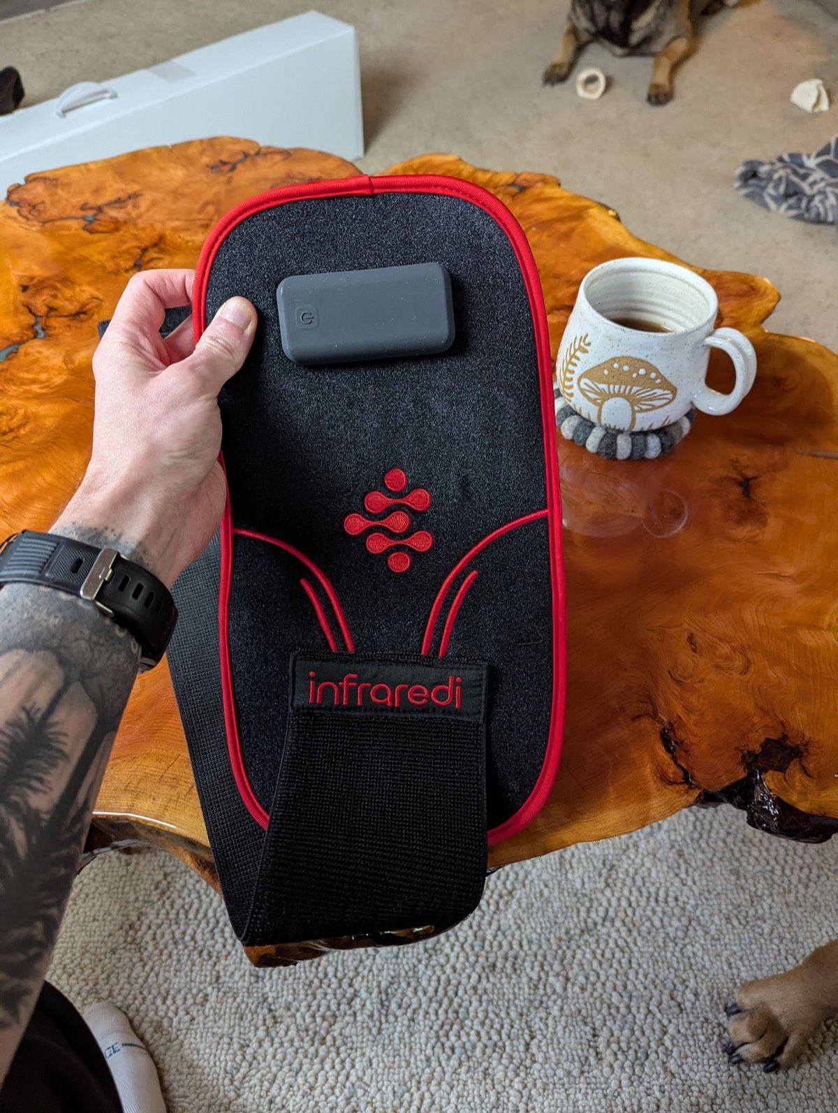 holding the infraredi red light therapy knee brace for osteoarthritis