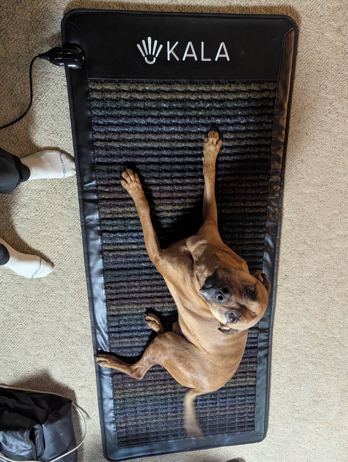kala pemf mat discount code