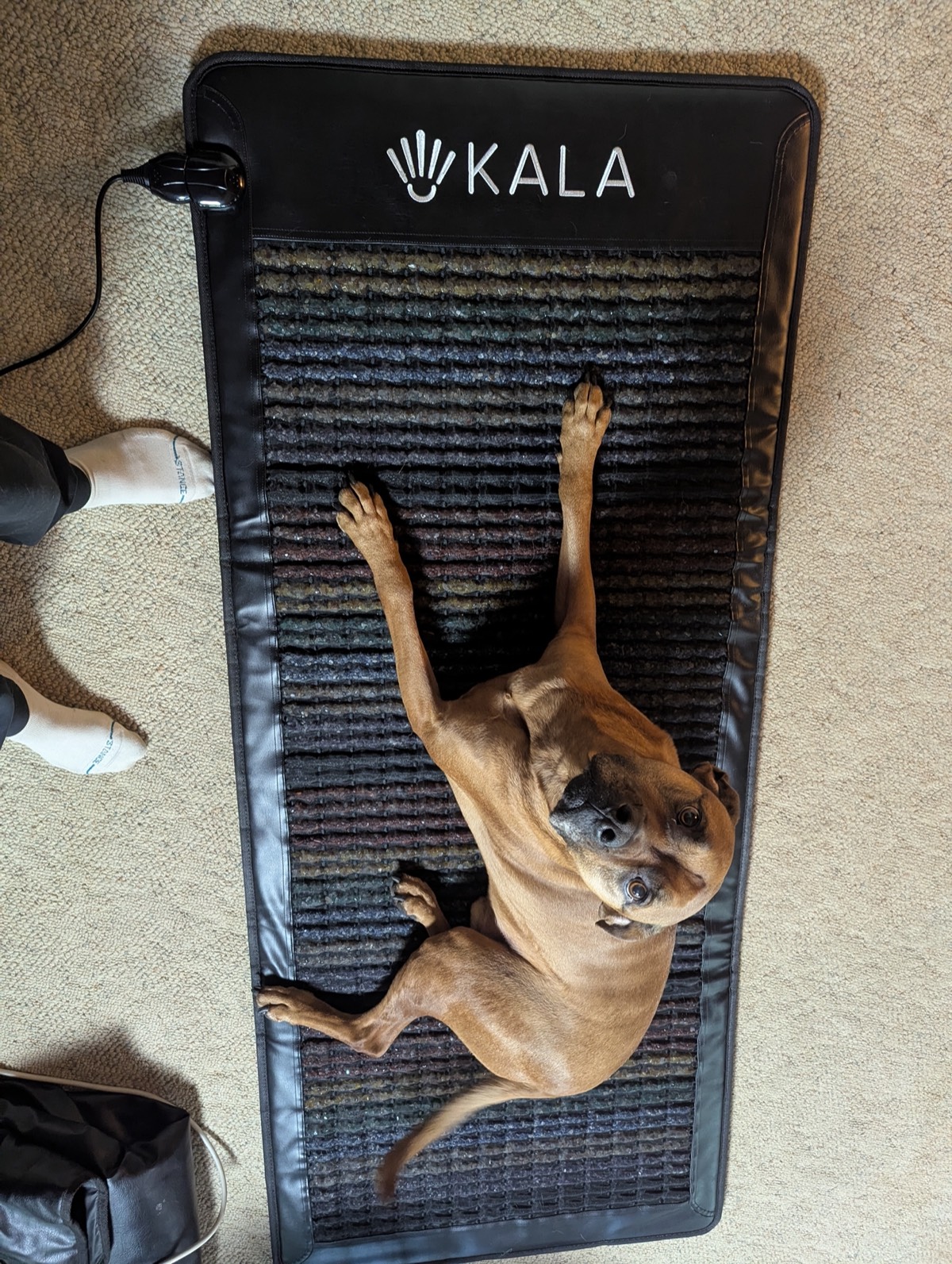 kala pemf mat