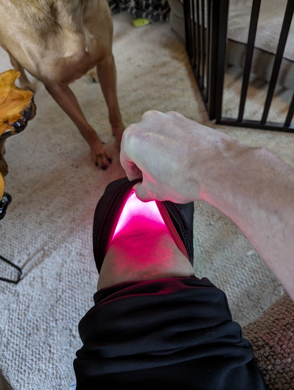 looking inside the red light therapy knee brace