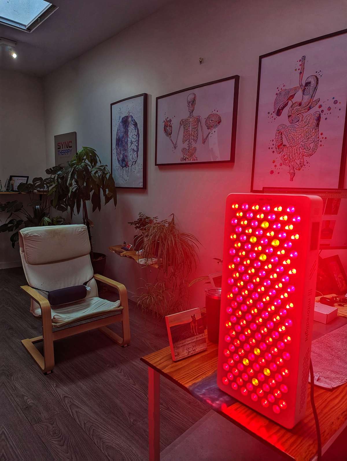 A therapist demonstrating the MitoPRO X 750 in a health and wellness clinic for a mitopro 750 review.