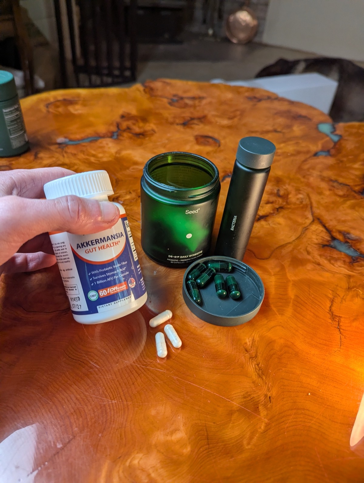 pendulum probiotic akkermansia vs seed probiotic 