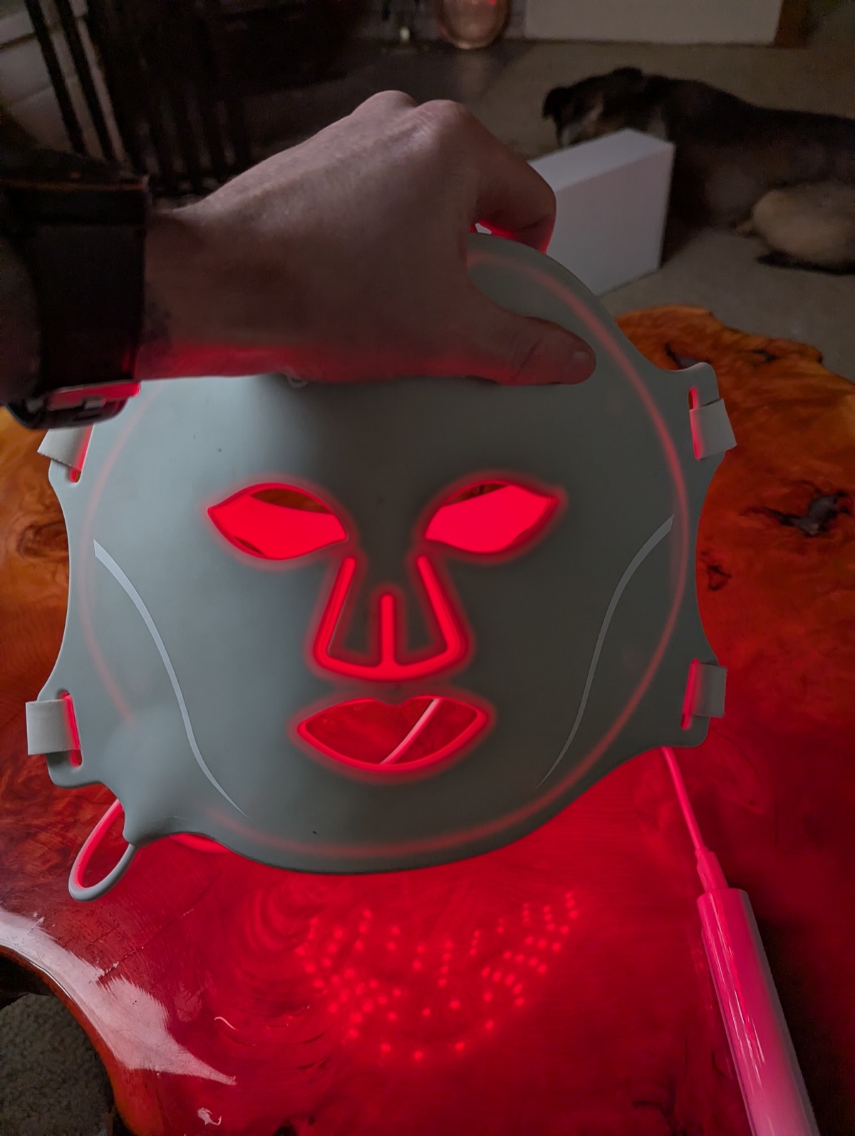 red light therapy mask best