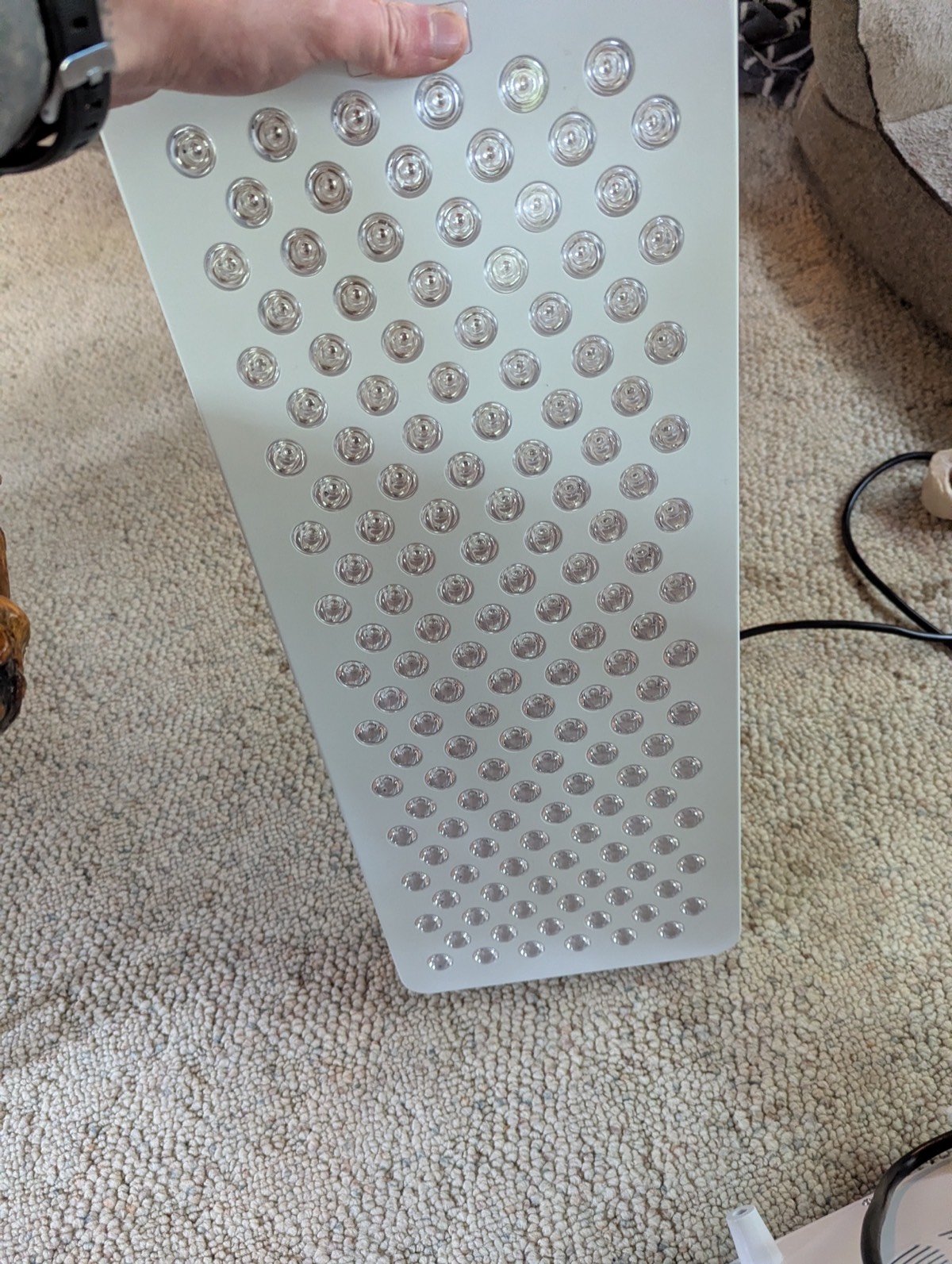 showing off a red light therapy panel 