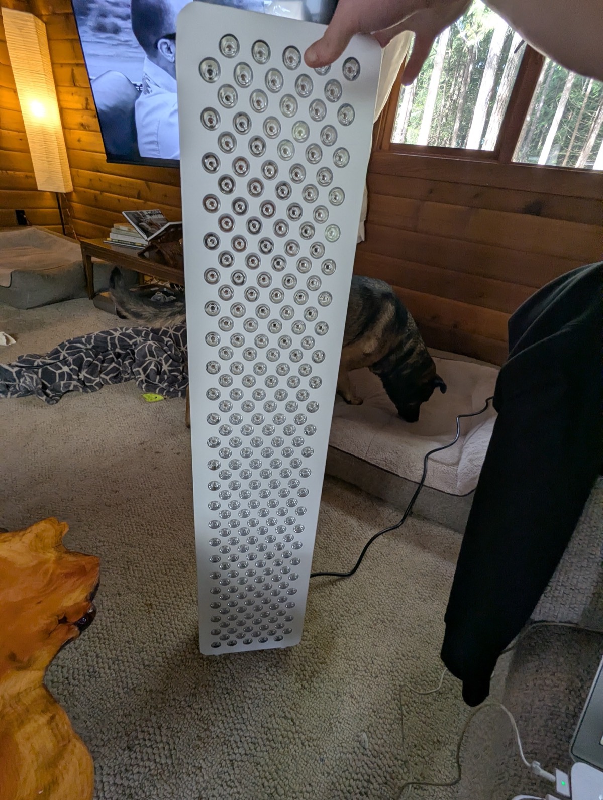 showing the red light therapy panel off (infraredi)