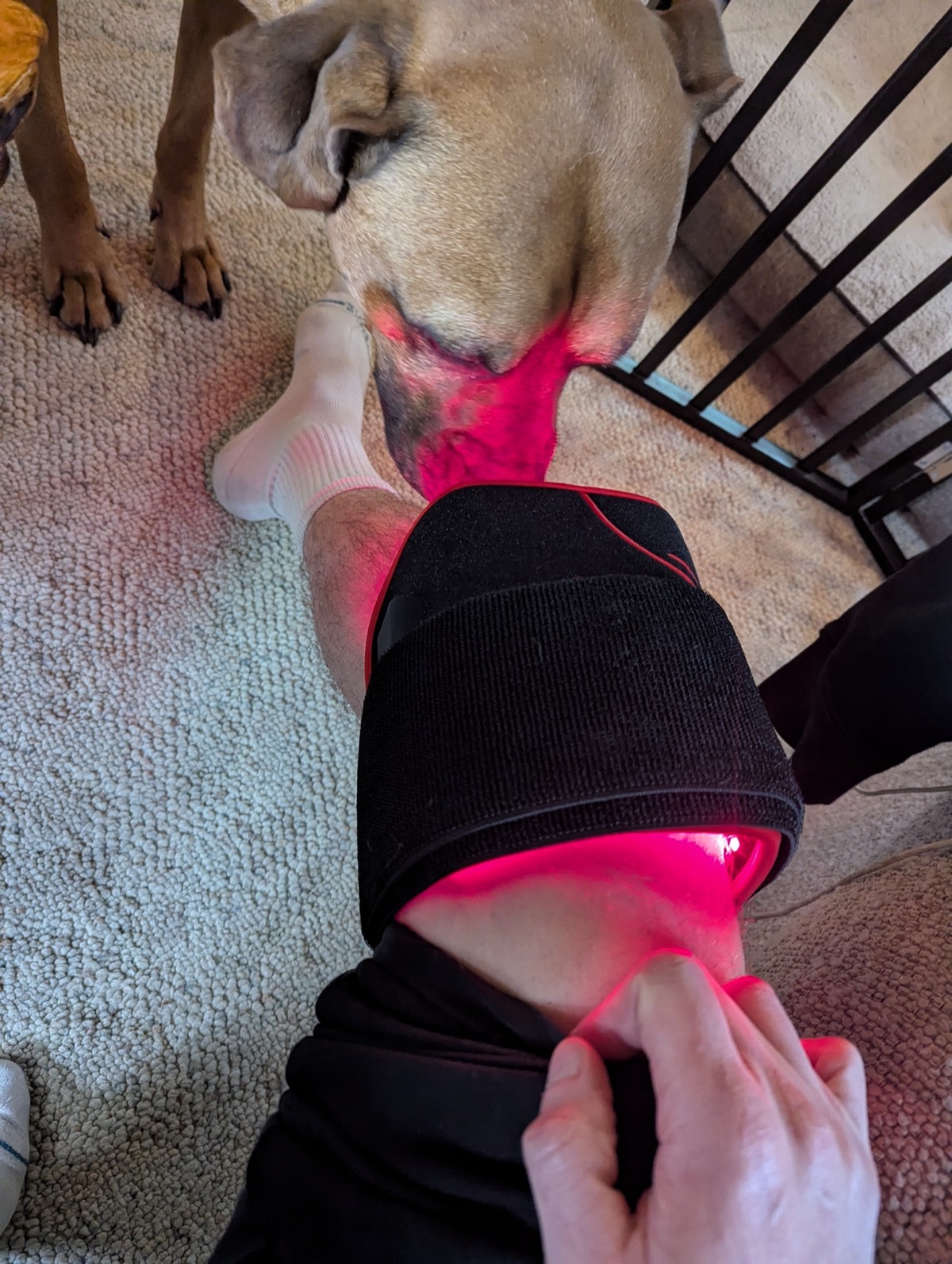 wearing a red light therapy knee brace