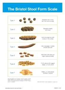 bristol stool chart for poop to check your gut bacteria with a test in canada